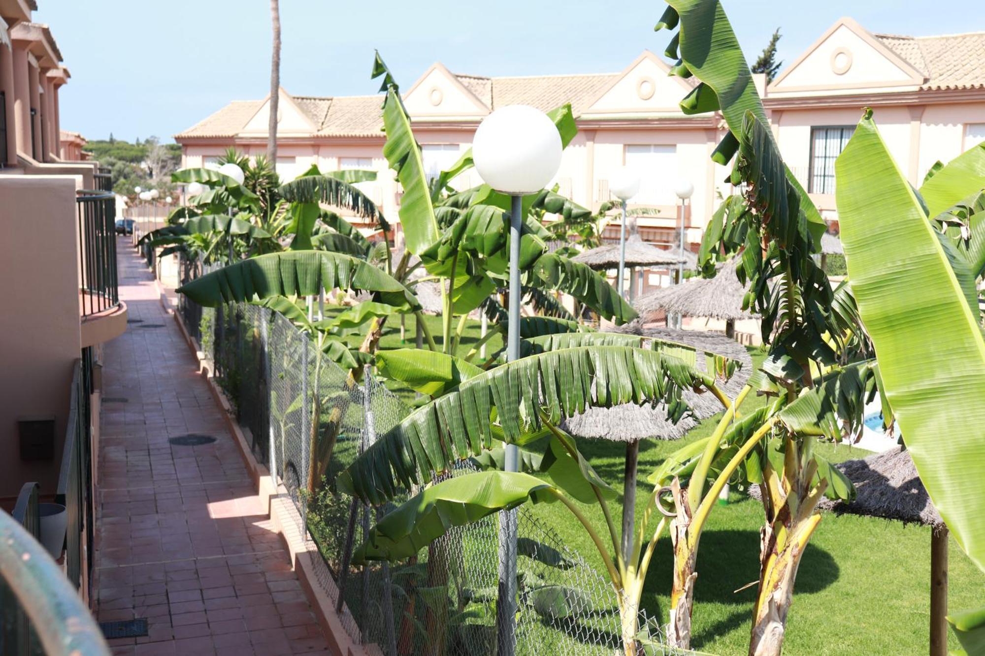 Playa La Barrosa, Alojamientoslola 奇克拉纳－德拉弗龙特拉 外观 照片